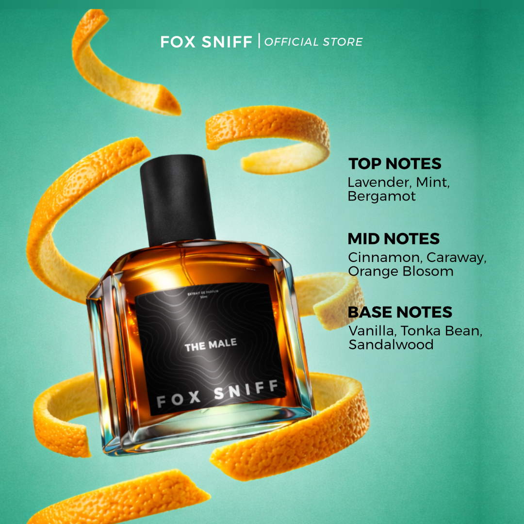The Male - Spicy, Sweet - Image 2